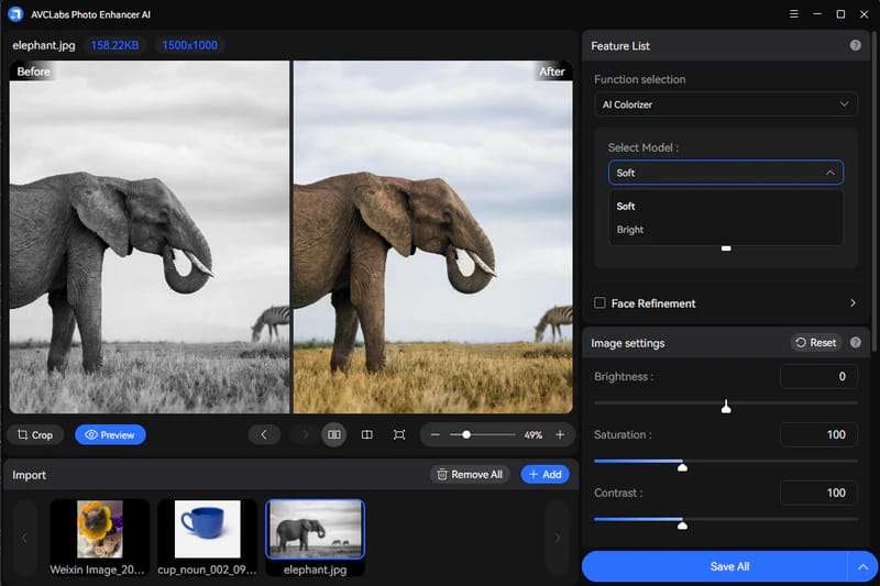 AVCLabs Photo Enhancer AI の操作画面 - 画像モザイク除去デモ