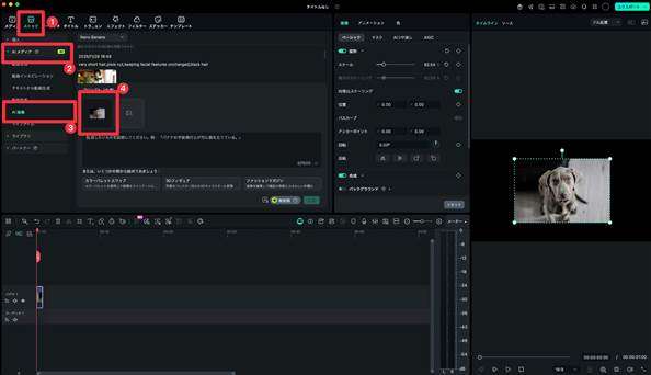 AI画像生成にインポート