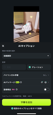 AIキャプションを生成・追加