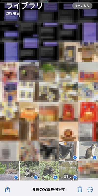 写真を選ぶ