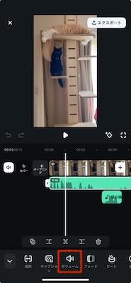 「ボリューム」アイコンをタップ