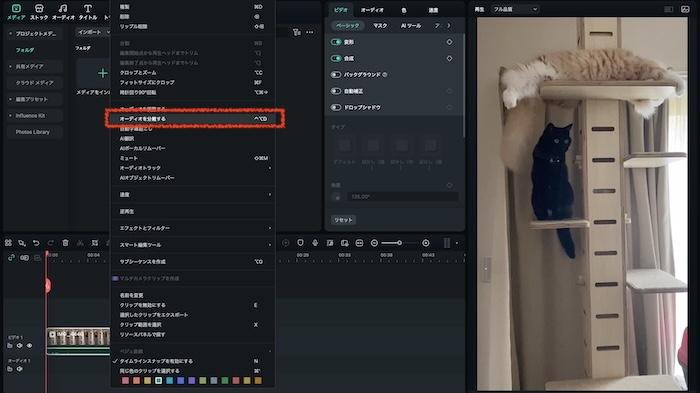 動画からオーディオを分離