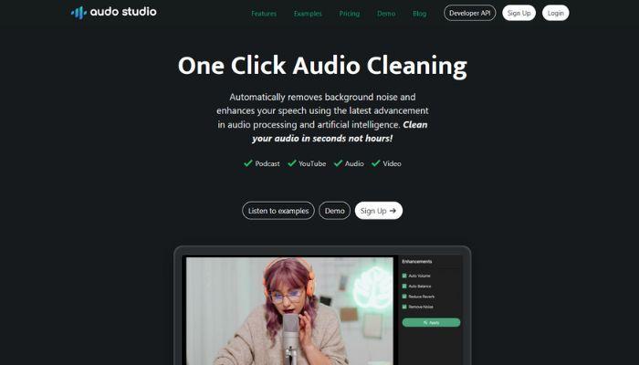 mp3 ノイズ 除去-audo Studio