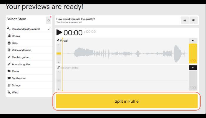 「Split in Full」をクリック