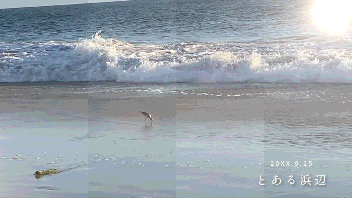 Filmora-GIFアニメーション作り