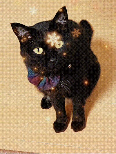 Filmora-クリスマス GIF