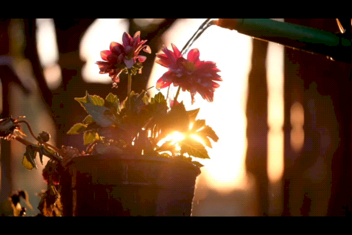 Filmora-キーフレームアニメーション