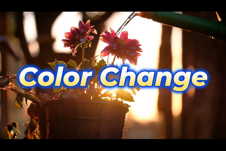 テキストアニメーション-カラーチェンジ