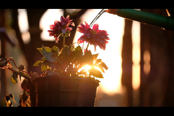 テキストアニメーションーフェードイン＋スライドイン