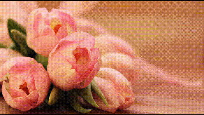 アニメーション制作アプリの機能