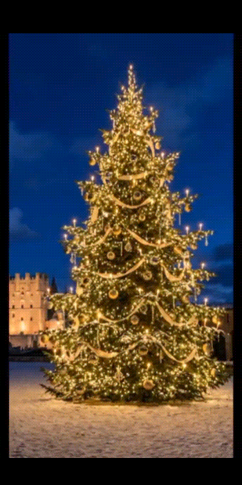 LINE向けクリスマス動画