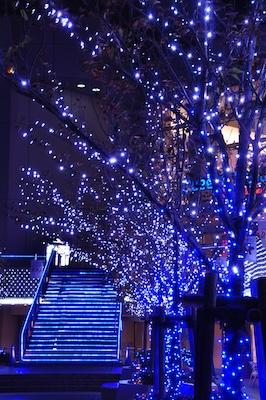 クリスマス壁紙カテゴリー