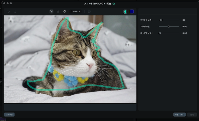 輪郭を大まかになぞり