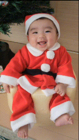 ライブクリスマス壁紙