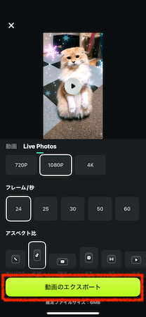 「エクスポート」をタップ
