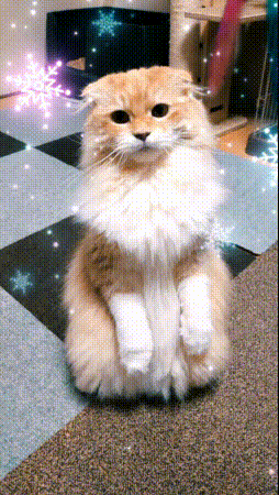 動くクリスマス壁紙