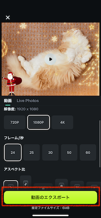 「エクスポート」ボタンをタップ