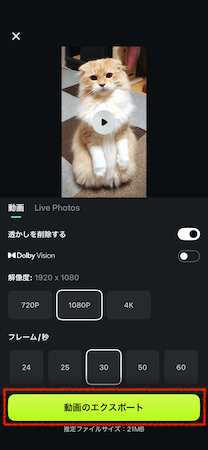 「エクスポート」をタップ