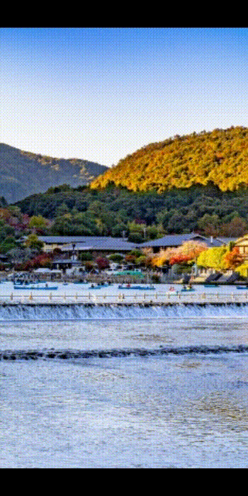 360度パノラマ動画の活用シーン