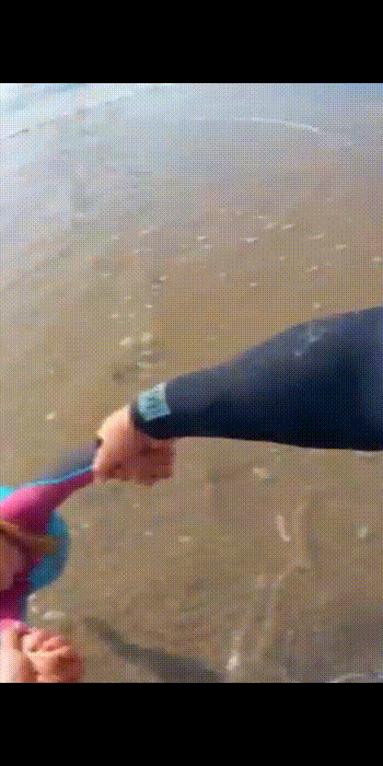 写真を360度動画に変換するアプリ