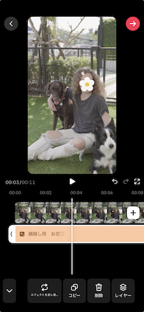 顔 隠し 素材 -TikTok 自動追従スタンプ
