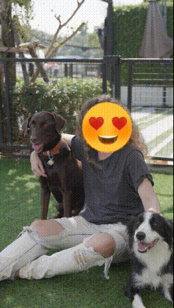 顔を隠した動画