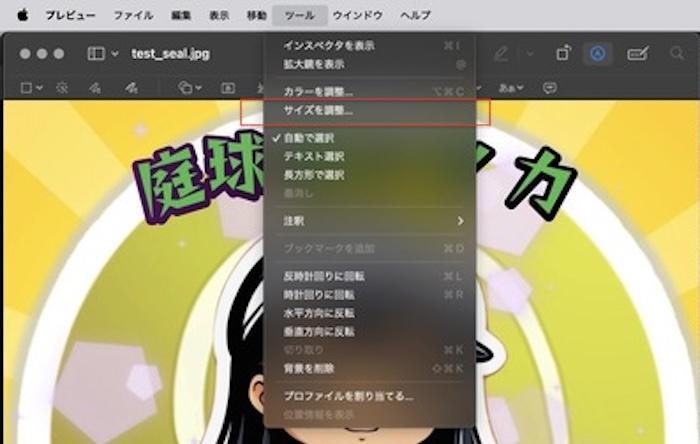 「ツール」「サイズを調整」の順に選択