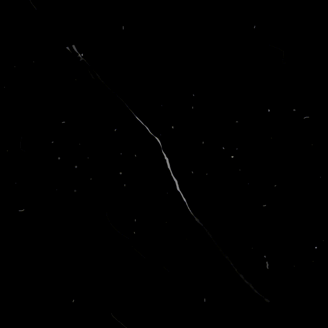 ロゴ&テキストアニメ付きブランディングGIF