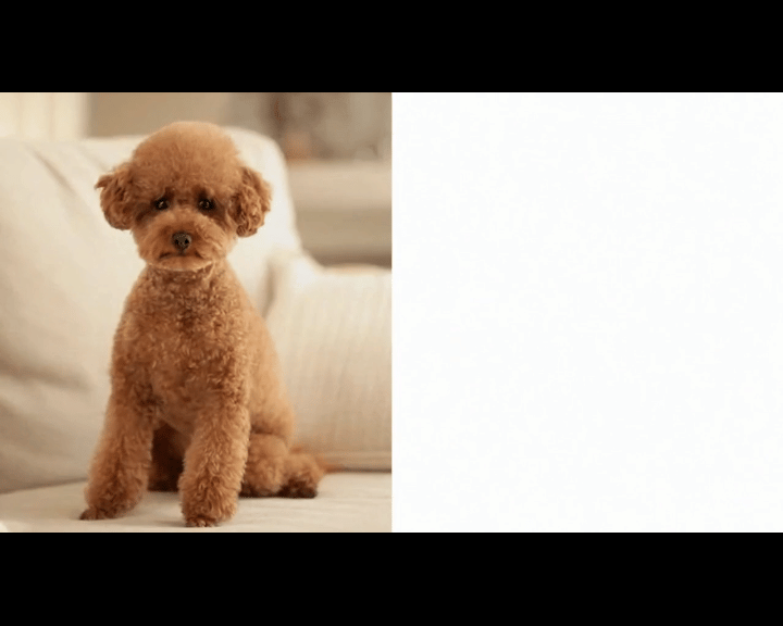 ai cat emoji generator