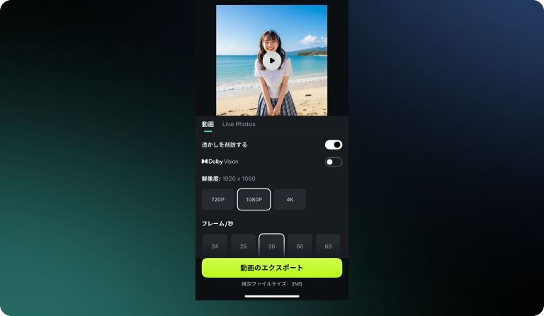 アプリのエクスポート画面。