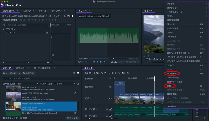 Wondershare Filmorapro オーディオ編集とエフェクトの追加