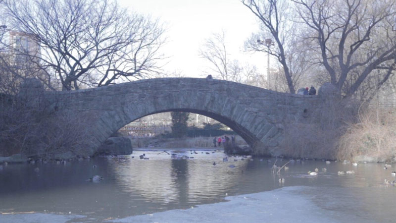素材サイトfilmstock 冬の橋