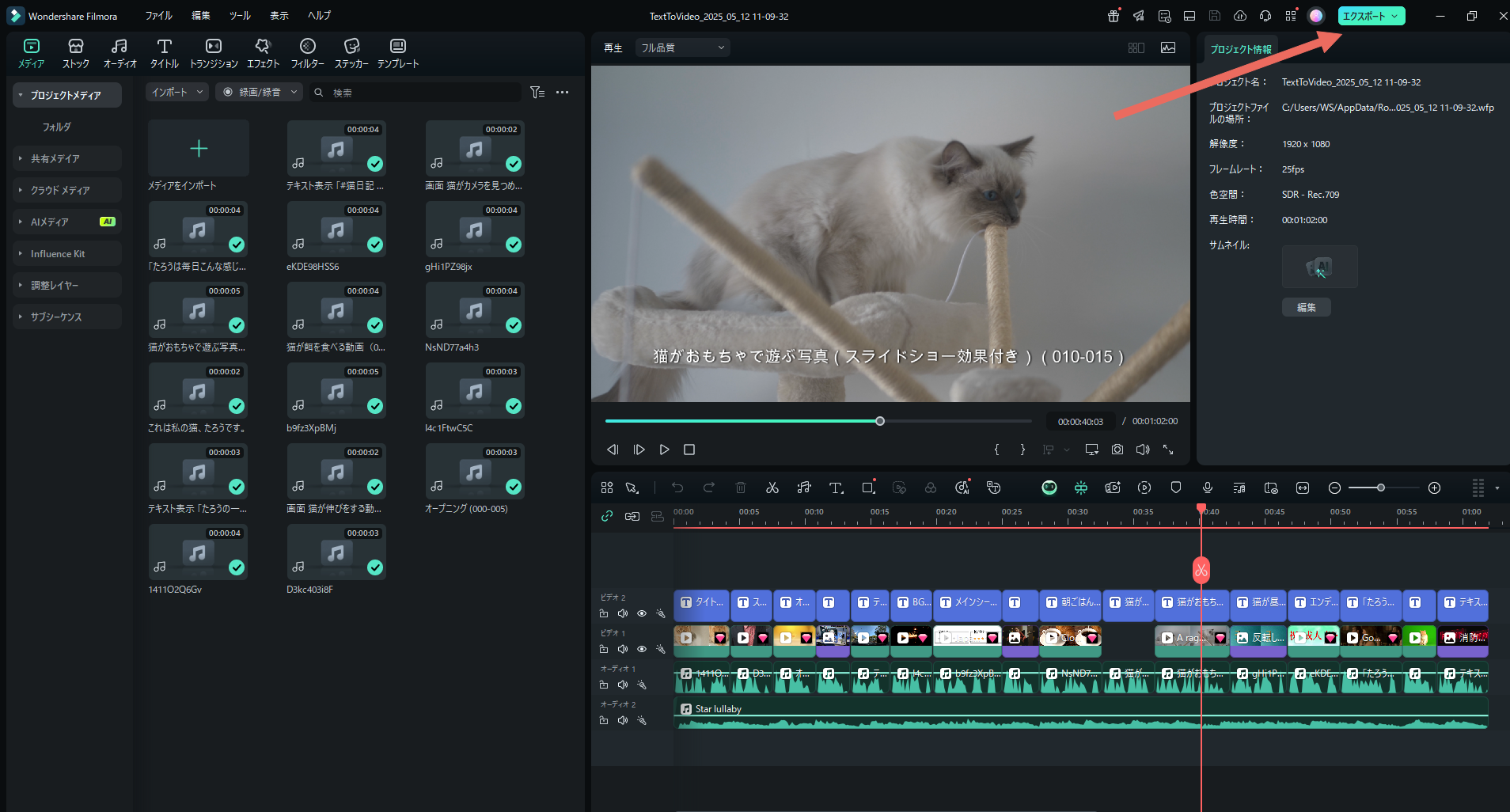 preview your video and export it
