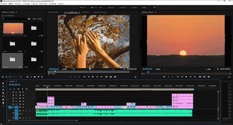 モーショントラッキングできるソフトPremiere Pro