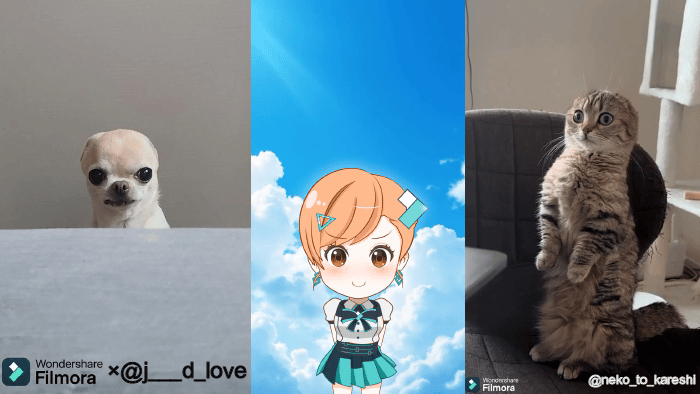 ピタ止めチャレンジ動画の作り方完全ガイド