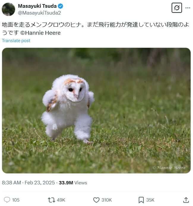 エッホエッホ ミームの構文と使い方ガイド