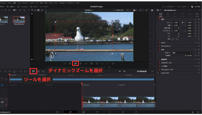 ズームを設定