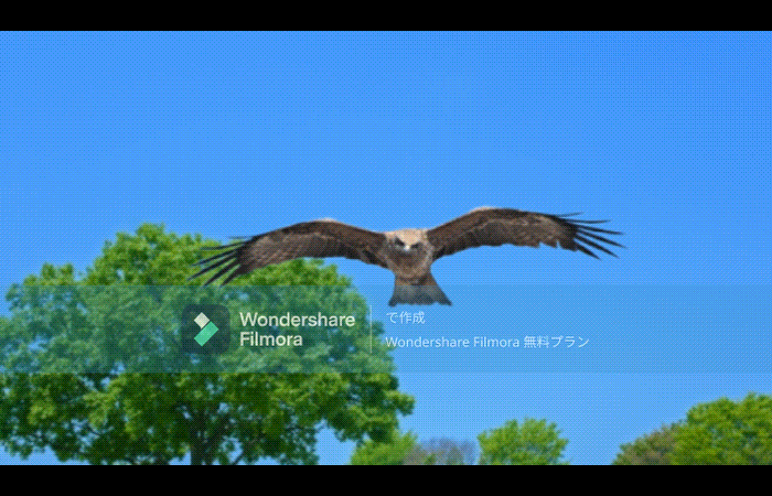 ヒッチコックズーム