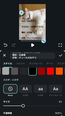 「プロフィール帳風」プリクラ落書き