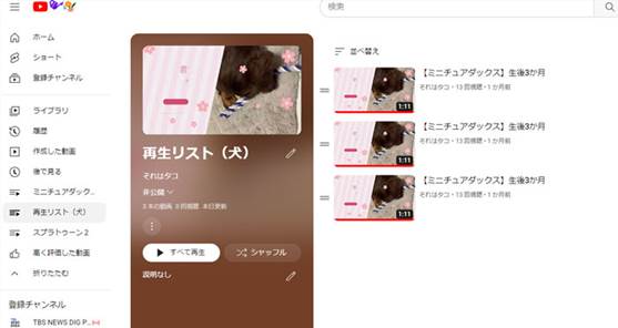 YouTubeで動画をリピート再生する方法スマホ＆パソコン 