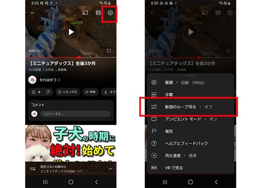 最新版】の動画をリピート再生・自動的に繰り返して見る方法 